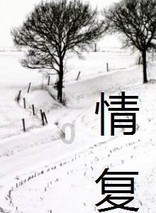 邦达亚洲:美元走软油价反弹 美元加元承压收跌